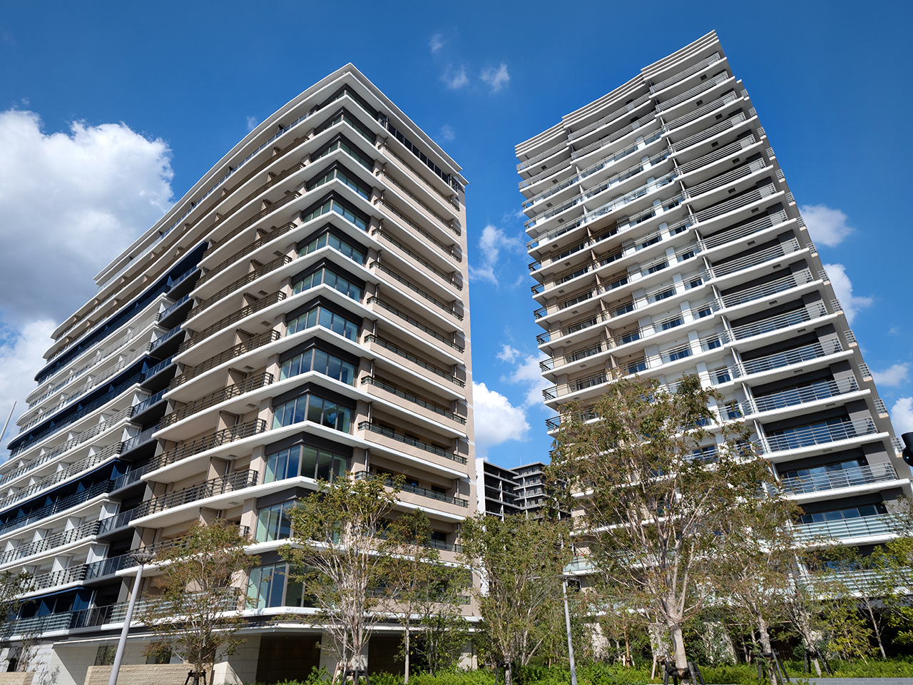 未来の価値を、いま見抜く。